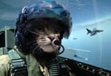 meowbius