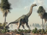 1-brachiosaurus-in-a-wetland-daniel-eskridge