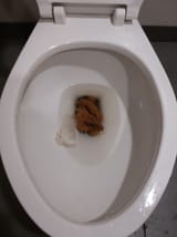20201128_092649