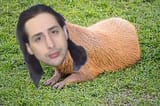 shanerodent
