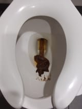 20201207_104231