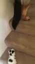 1738291862948145_thumb.jpg