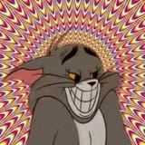 mfw