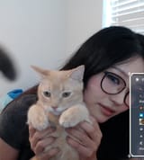 kittyy