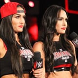 what-do-u-think-of-the-bella-twins-v0-kdyksx6fsldb1