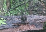 20250614_114130 (2) (1) (2)