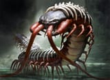 spinal_centipede_by_zezhou_dcwxg5h