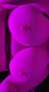 IMG_1369