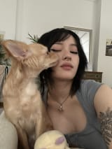 Gumikisses