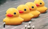Duck_man