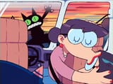 Cat run over
