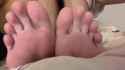 paws-73_thumb.jpg