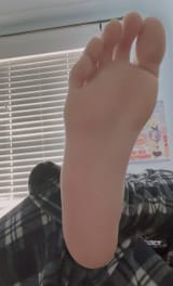 paw_1796