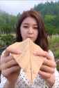 dami_thumb.jpg