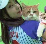 Caturn Day