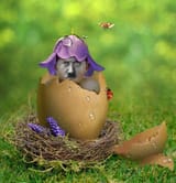 IMG_20250420_110944_467