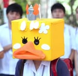 duck