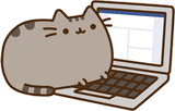 pusheen cat pc
