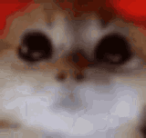 hespissed