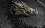 dragon undead 5