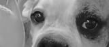 1brew_oklahoma_K9cdnCZ
