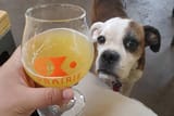 brew_oklahoma_K9cdnCZ