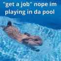 nope-im-playing-in-da-pool-pool_thumb.jpg