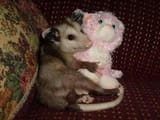 me with binky