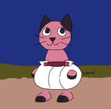 sapari_cat