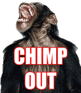 chimpout-3105206898
