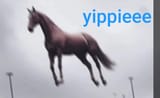 1000043882