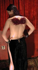Wings