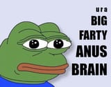 anus-brain