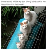 cat-dont-talk-or-my-son-or-my-sons-son-or-my-sons-sons-son-ever-again