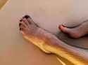 PXL_20250414_171941872.LS_thumb.jpg