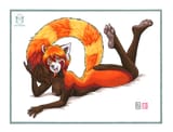 furry-furry-art-furry-f-furotica-3718797