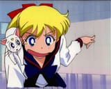 i-think-my-favorite-aspect-of-sailor-moon-is-how-venus-was-v0-rnva07jnskte1