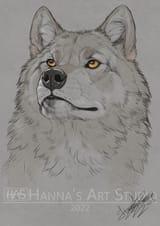 wolf by hanna
