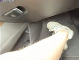 Katchii leg