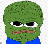 BIGGEST BRAIN PEPE