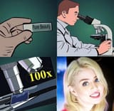 science