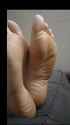 mdf3-converted_thumb.jpg