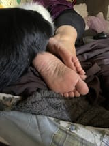 IMG_0388