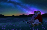 night sky