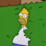 homer