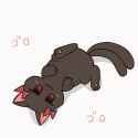 ORIN ROLL_thumb.jpg
