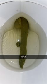 7hcjfy8cv77f1