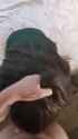 received_882045345630597~4_thumb.jpg