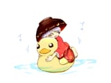 shinmy on a duck