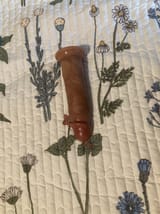 Fleshy